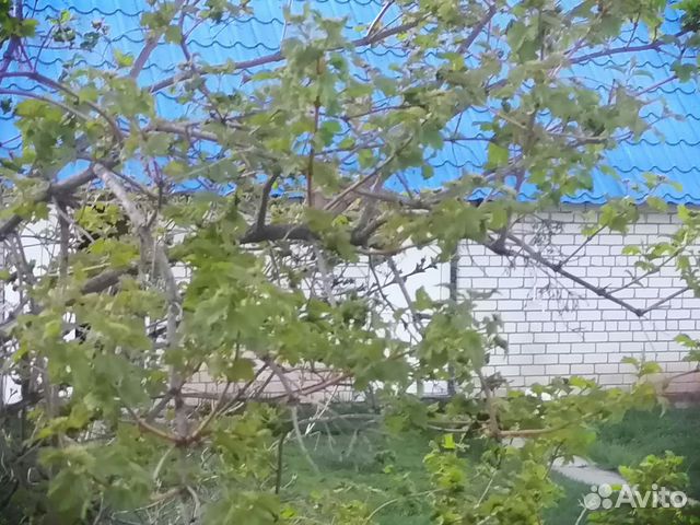 

4-к. дом, 200 м²