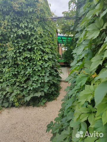 

2-к. дом, 40 м²