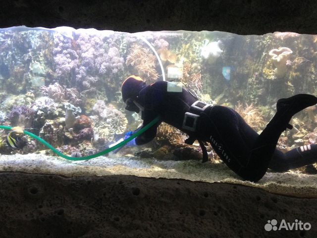 Чистка аквариума и его обслуживание