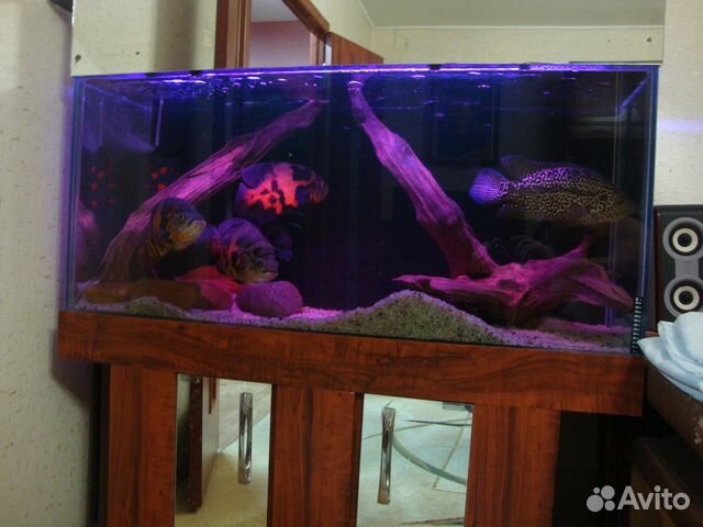 Продам аквариум 280 литров купить на Зозу.ру - фотография № 3