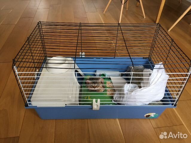 Клетка для грызунов