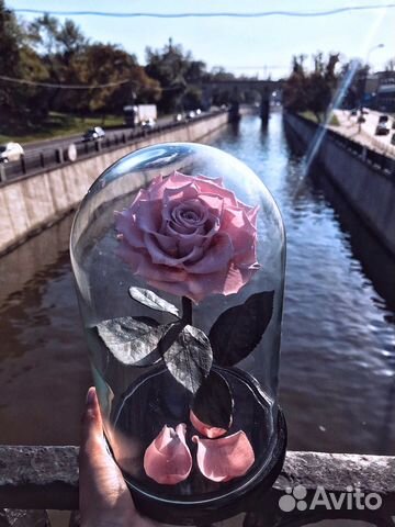 Роза в колбе подарок любимой