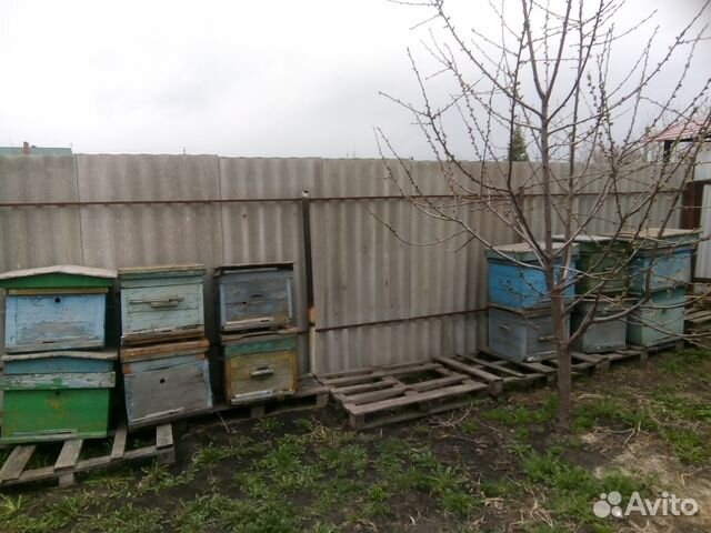 Продам ульи для пчел купить на Зозу.ру - фотография № 2