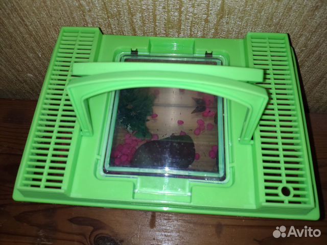 Террариум, аквариум Террариум, аквариум