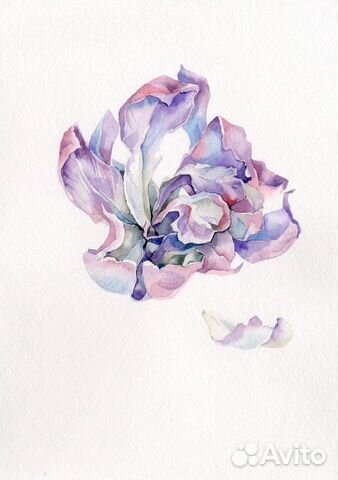 Картины акварель Картины акварель