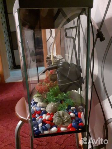 Аквариум для рыб