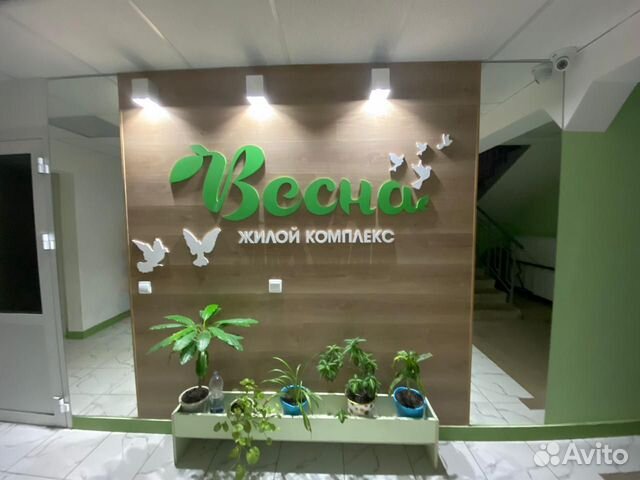 1-к квартира, 24.1 м², 8/9 эт.
