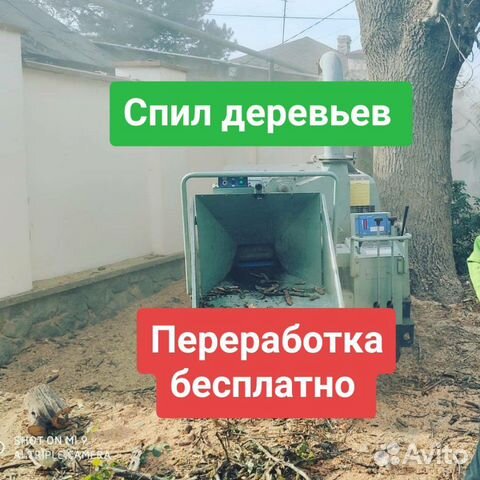 Спил деревьев в Севастополе Спил деревьев в Севастополе