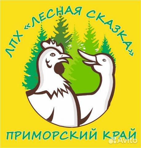 Цыпленок купить на Зозу.ру - фотография № 1