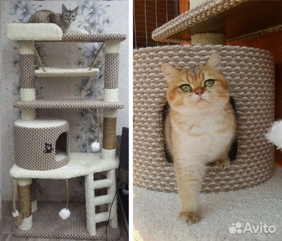 Домик для кошки