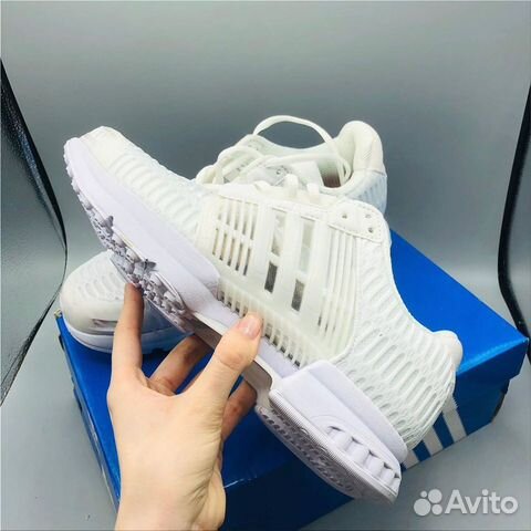 Adidas Climacool Adidas Climacool
