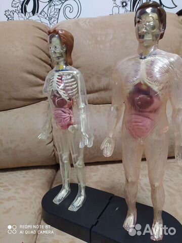 Собрать человека