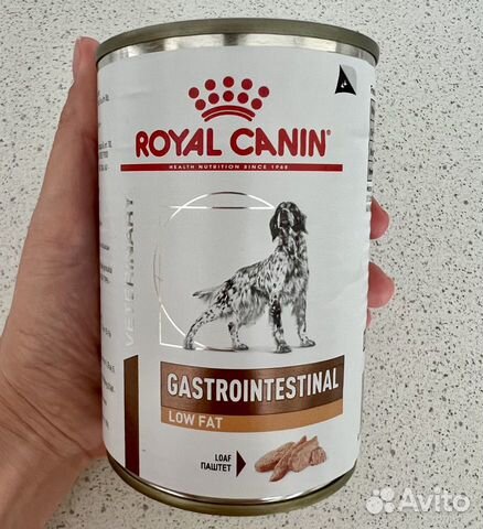 Royal canin low fat gastrointestinal. Роял Канин Лоу фэт. Роял Канин Лоу фэт для собак. Роял Канин Лоу фат для средних. Роял Канин Лой фэт влажны йдля мелких пород.