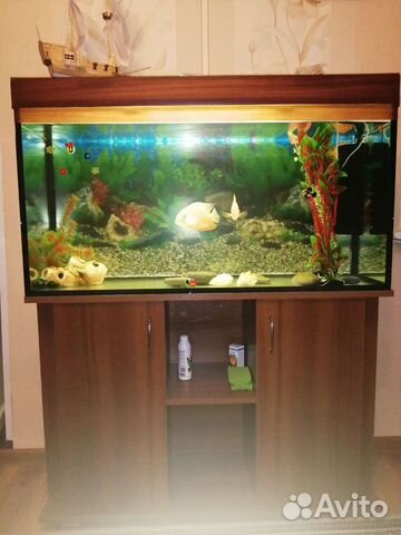 Аквариум