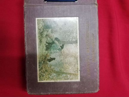 Почтовые открытки 