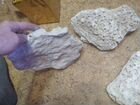 Сухой рифовый камень объявление продам