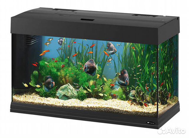 Аквариумы и террариумы готовые и под заказ