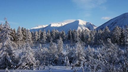 Видеомонтаж, Фотомонтаж, создание фильмов