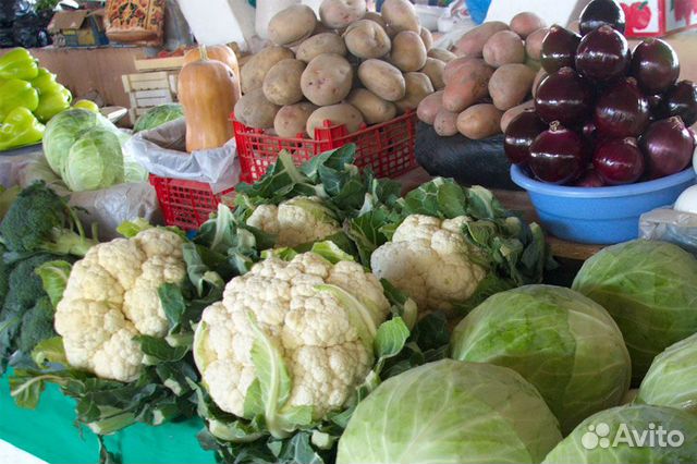 Привлекаем инвестиции - займы в действующий бизнес