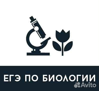 Подготовка к сдаче егэ и огэ по биологии