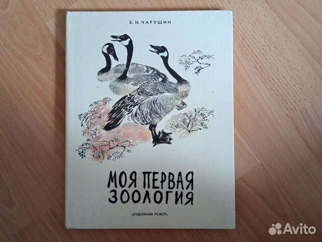 Моя первая зоология книга о птицах. Книга моя первая Зоология Чарушин. Книга моя первая Зоология про птиц 3 класс. Советская книга моя первая Зоология. Моя первая Зоология про птиц 3 класс литературное чтение.