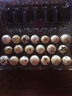 Яйца перепелиные