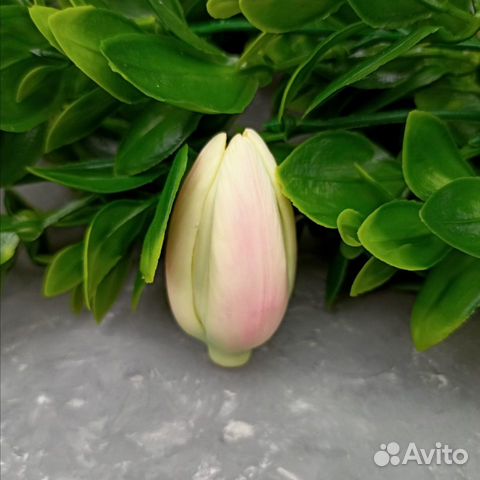 Силиконовая форма 