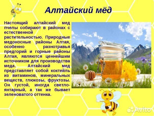 Проект 9 класс мед