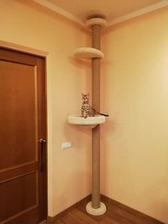 Когтеточка в потолок, в распор, комплекс