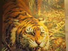 Тигр картина на холсте 40х50, акрил