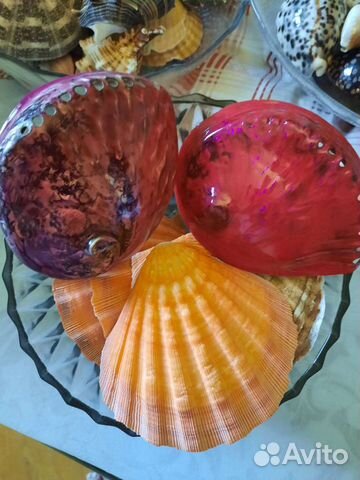 Ракушки, морские раковины