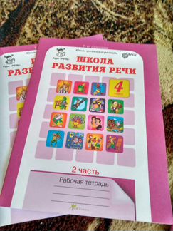 Рабочая тетрадь Школа развития речи 4 класс