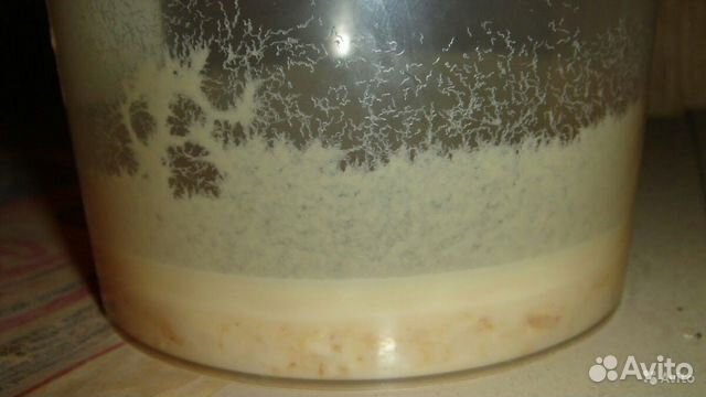 Нематода корм для мальков