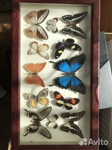 Панно с бабочками, картина