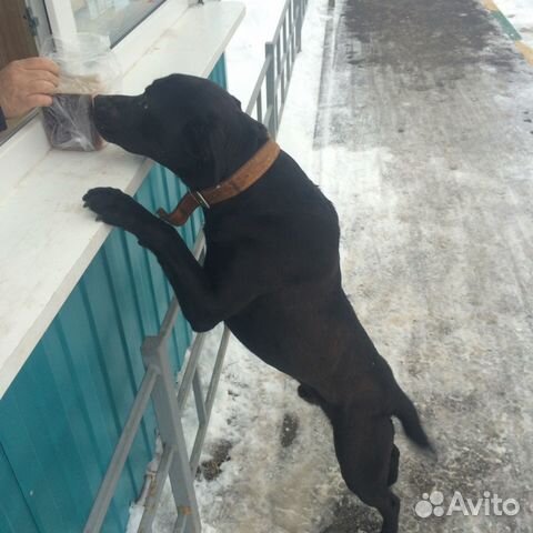 Где в нижнем новгороде в автозаводском районе можно сделать копии на лазерном принтере