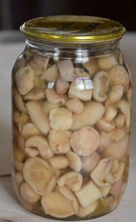 Грибы соленые