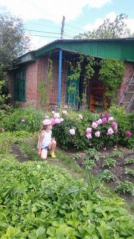 Дача 40 м² на участке 6 сот.