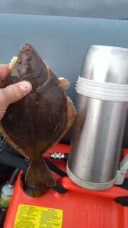 Снасти на камбалу для морской рыбалки. с 6 утра