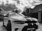 Dodge Charger 3.6 AT, 2019, 62 000 км