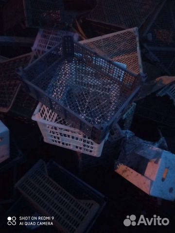 Пластиковые ящики бу от фруктов