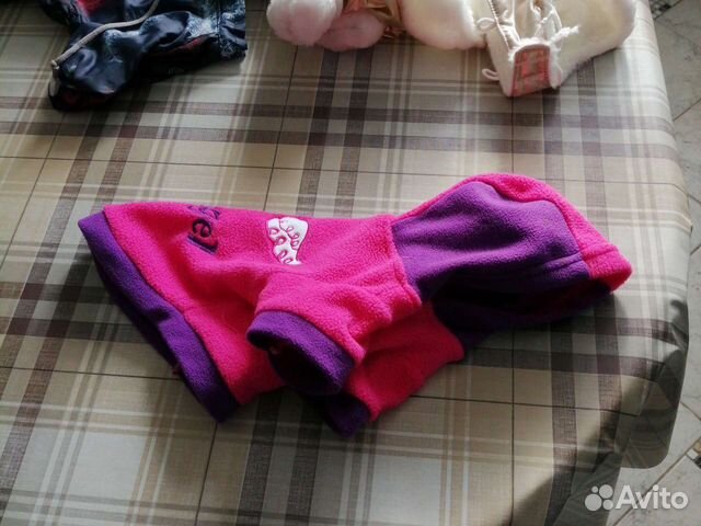 Одежда для собак