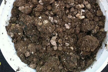 Помёт куриный