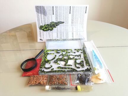 Муравьиная ферма 20х27 