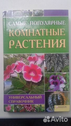 Самые популярные комнатные растения