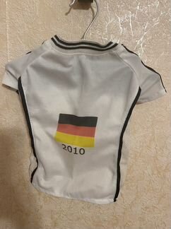 Одежда для собак