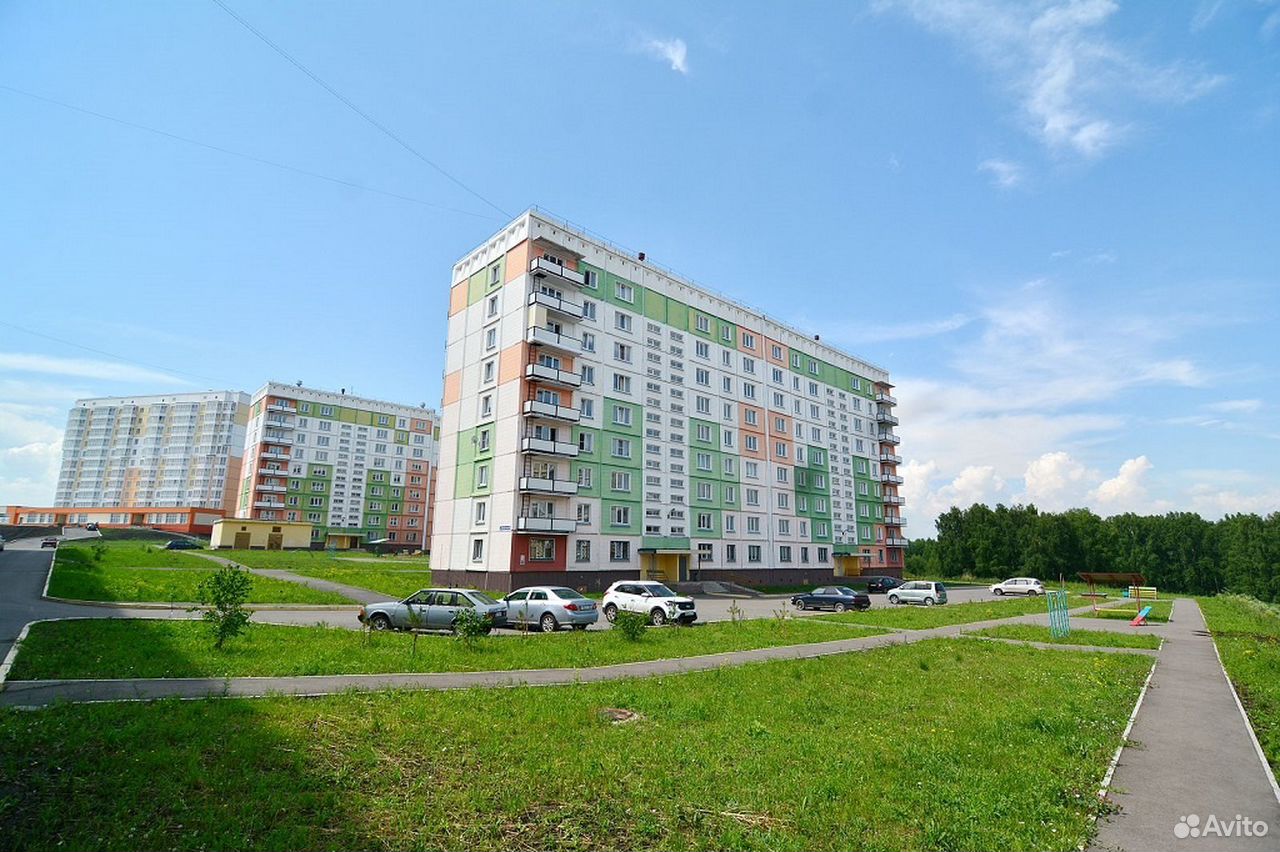 Яранская березовая роща. Березовая роща пермь. Березовая роща 26. Березовая роща самбек. Улица берёзовая роща новокузнецк ильинка.