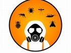 Уничтожение насекомых, тараканов, блох, клопов