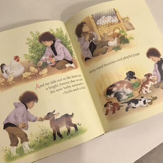 Книга Circle of seasons Gerda Muller