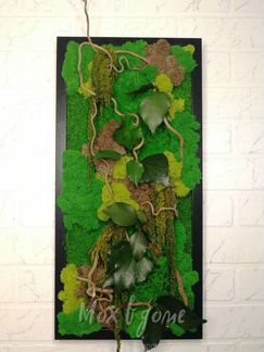 Фитокартина