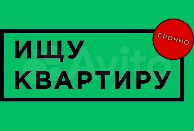 Девушка срочно ищет жилье москве. Sdamdarom. Девушка ищет квартиру за отношения. Ищу жилье. Девушка срочно ищет жилье москве.